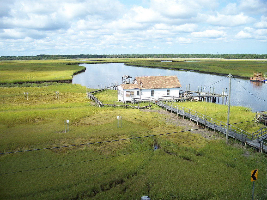 Elevation of Bass River State Forest, Stage Rd, Tuckerton, NJ, USA