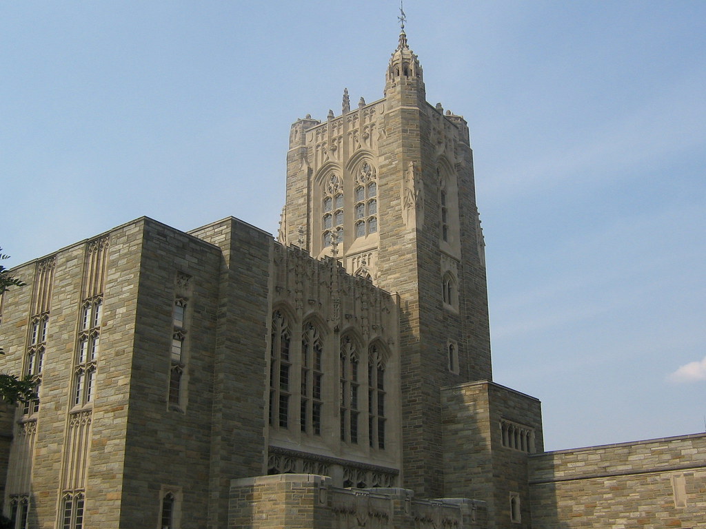 IMG_0054 shelly arora Flickr