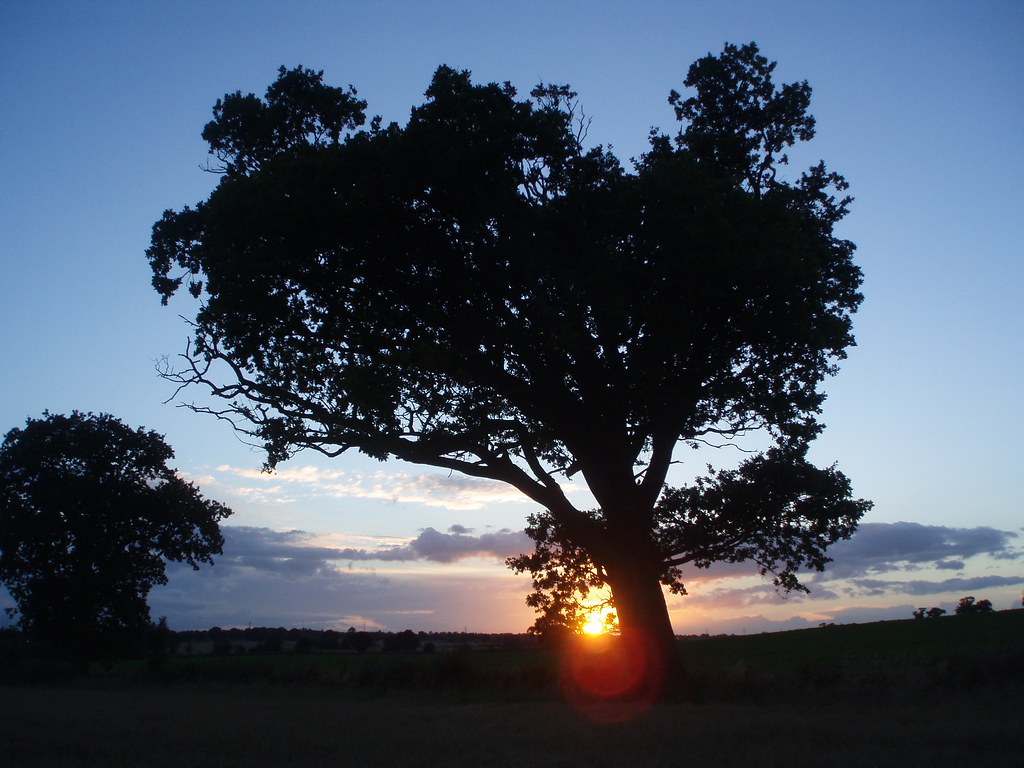 Chapter 9 Loddon and Chedgrave After miles out in the co… Flickr