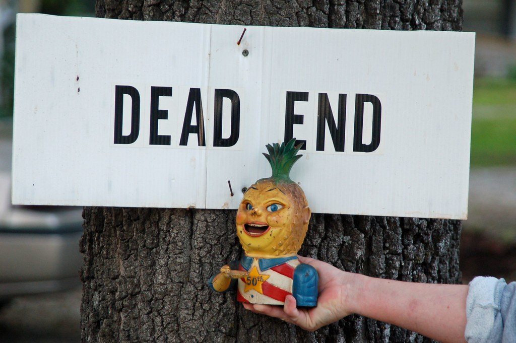 Mr. Pineapple Head at a dead end Michael Krueger Flickr
