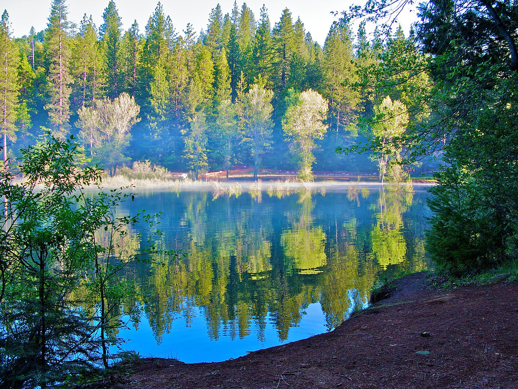 Jenkinson Lake 20090523 5 View On Black Nejmantowicz