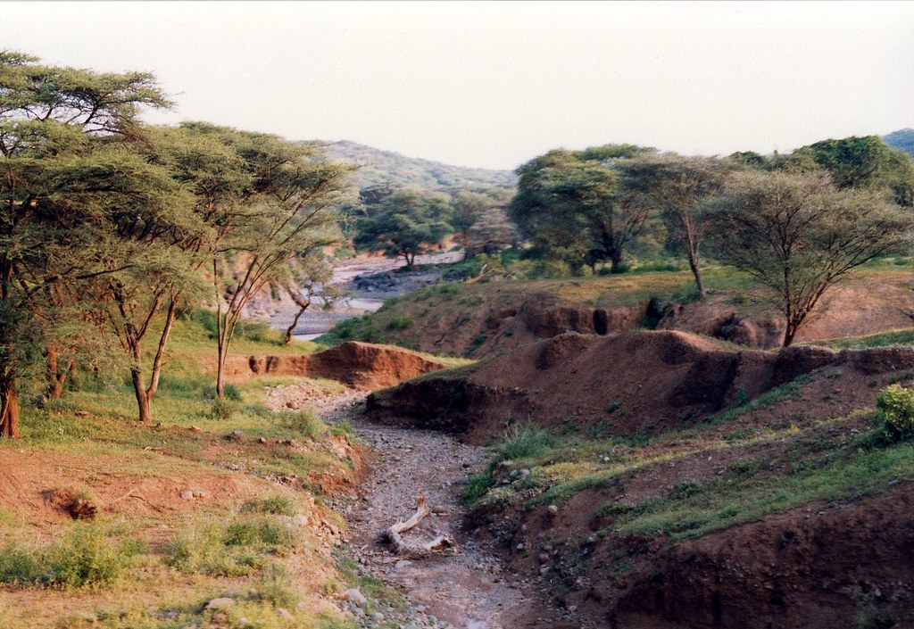 Kenya 1986 Another river bed, witha nice line in river cli… Flickr