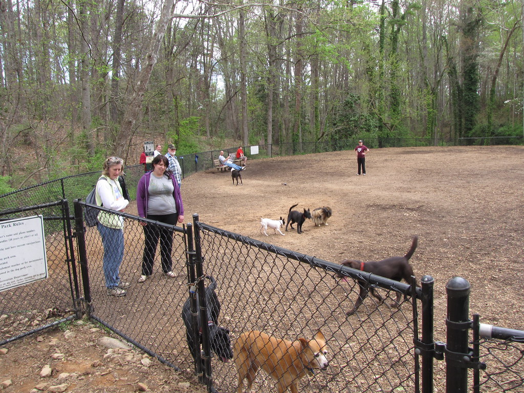 Dog park The sunday gathering. Buddha Dog Flickr