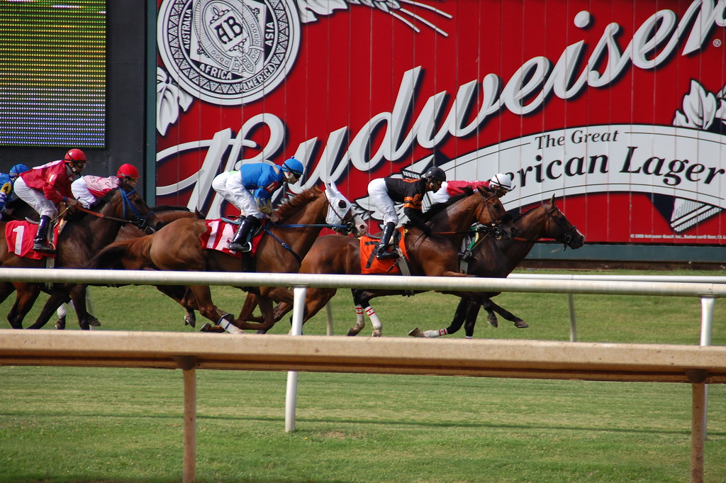 Lone Star Park Horse racing at Lone Star Park in Grand Pra… Flickr