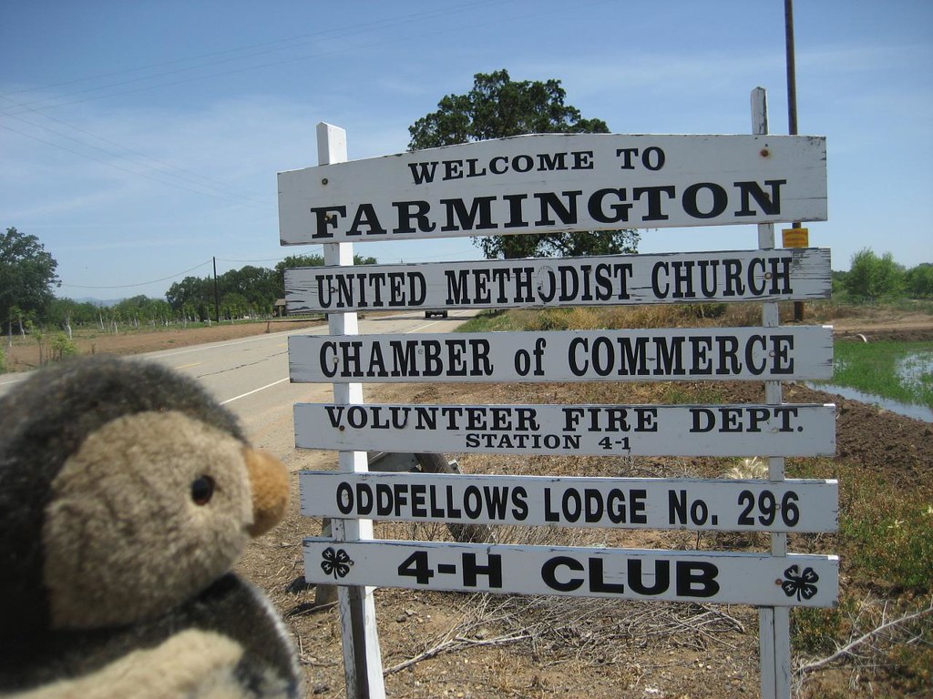 Farmington, California Frank Duck Flickr