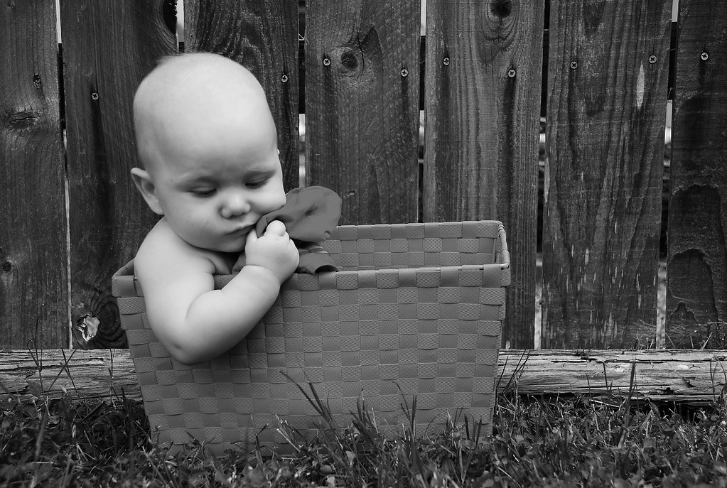 Baby in a Basket Mom, why am I in a basket??? earthwoman1967 Flickr