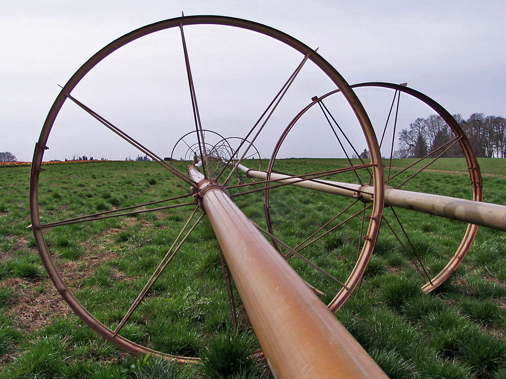 Wooden Shoe Tulip Farm, Woodburn, Oregon Irrigation piping… Flickr