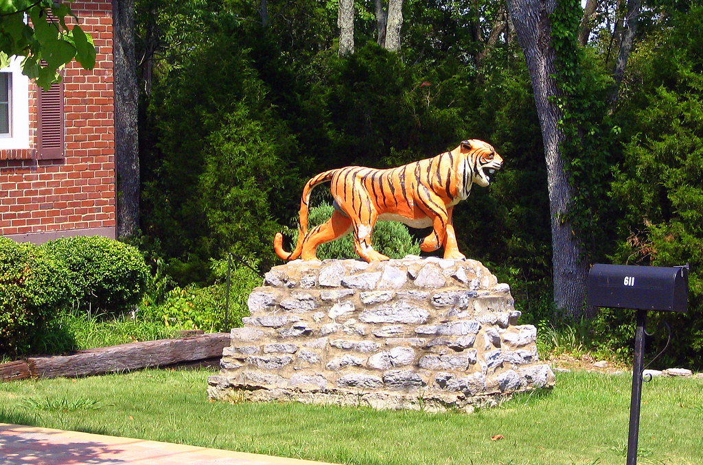 Tiger Statue Located in someone's yard, Lebanon, TN. Since… Flickr