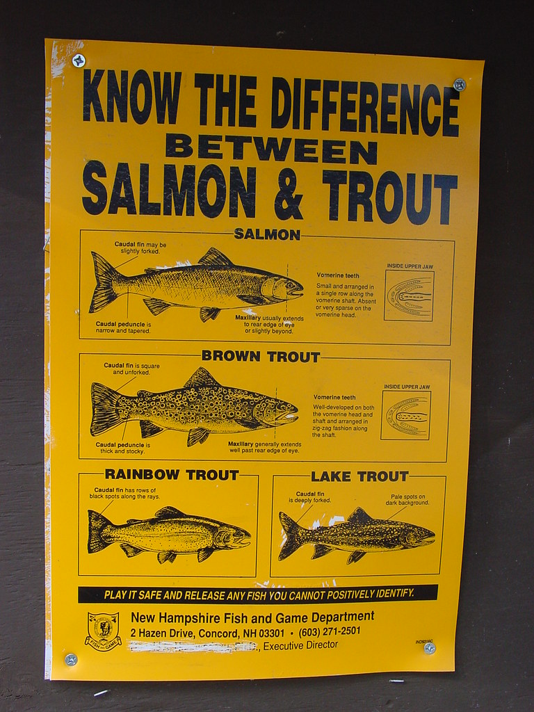 Pittsburg, NH Lake Francis fishing placard Guenther Lutz Flickr