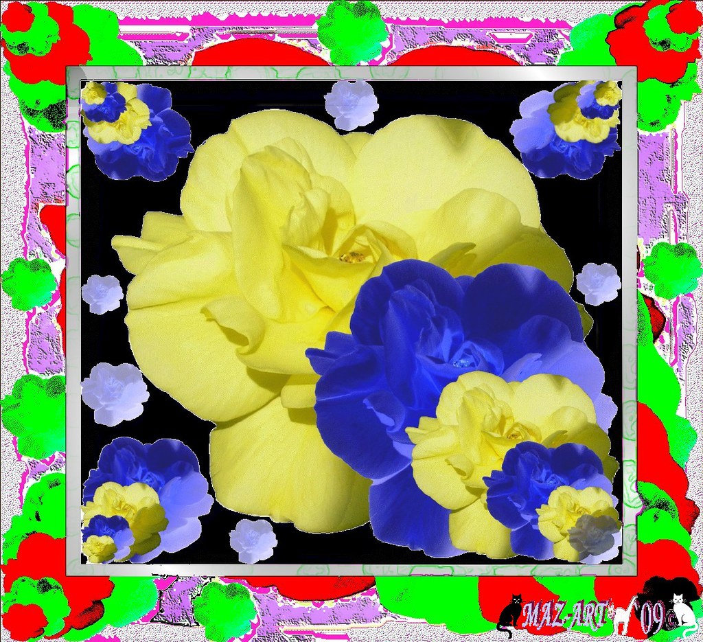 Yellow & Blue Roses Yellow rose_04 Digital ART_The origina… Flickr
