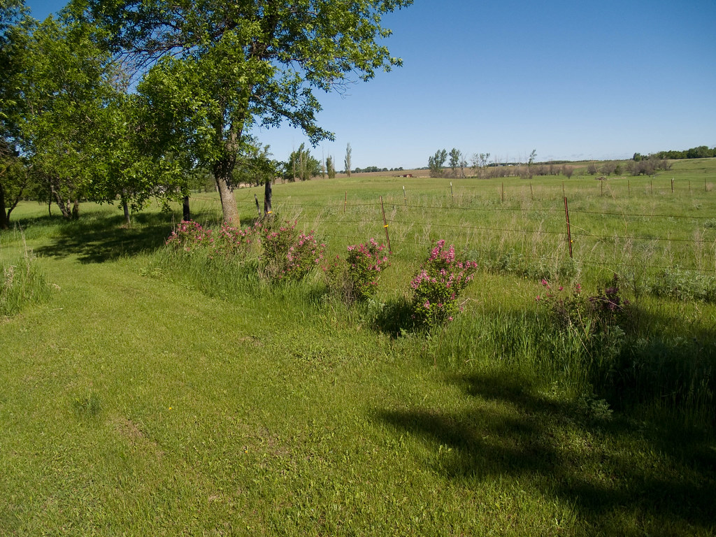 Nortonville, North Dakota From Flickr