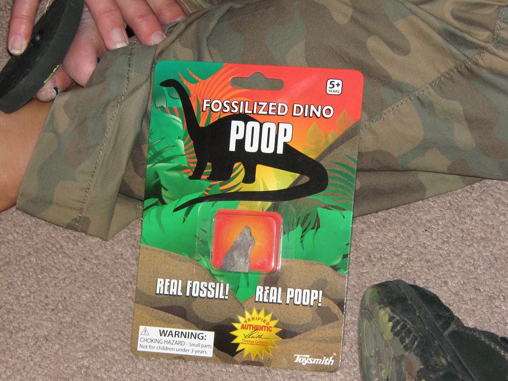 Fossilized Dino Poop It's real dinosaur poop! køpper Flickr
