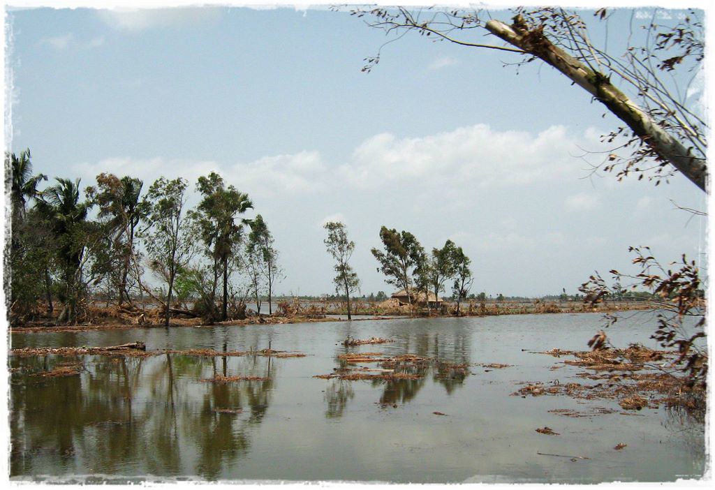 11 Lands became nonarable and will remain so for at least… Flickr