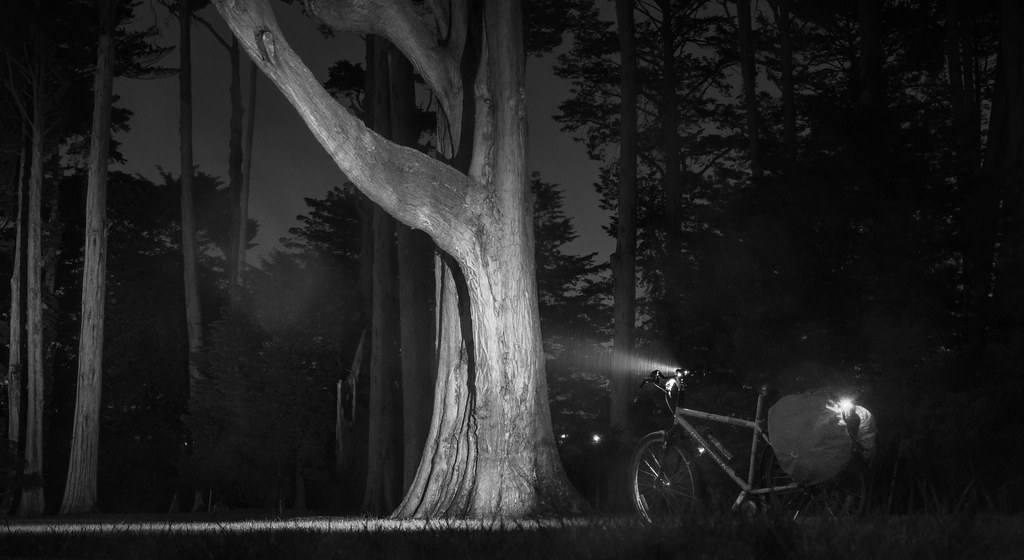 My DIY ebike at Henderson Park Michael Lawton Flickr