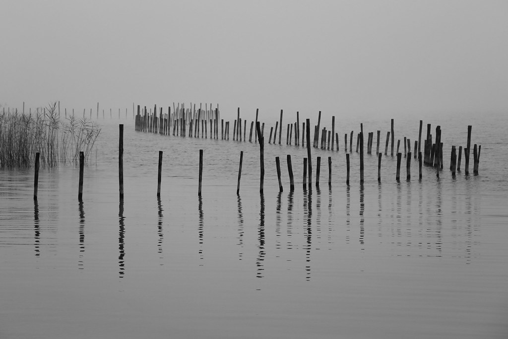 "Ô lac !" Alphonse de LAMARTINE Lac du Bourget (AixlesBa… Flickr