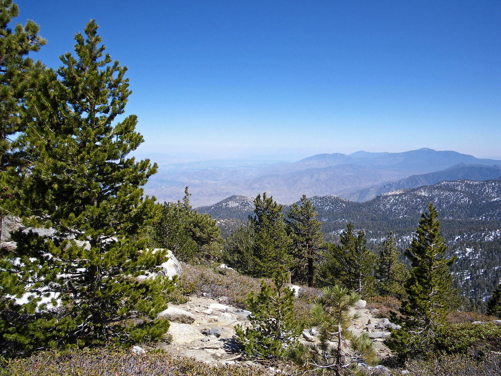 View from Wellman Divide Flickr