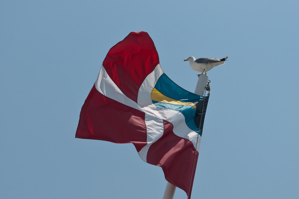 Cruise Ship Courtesy Flag Learned something new when I