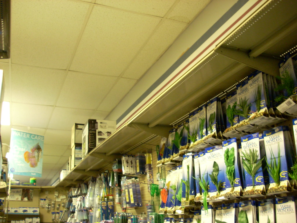 Pet World interior Pet World 2326 York Crossing Drive, Yor… Flickr