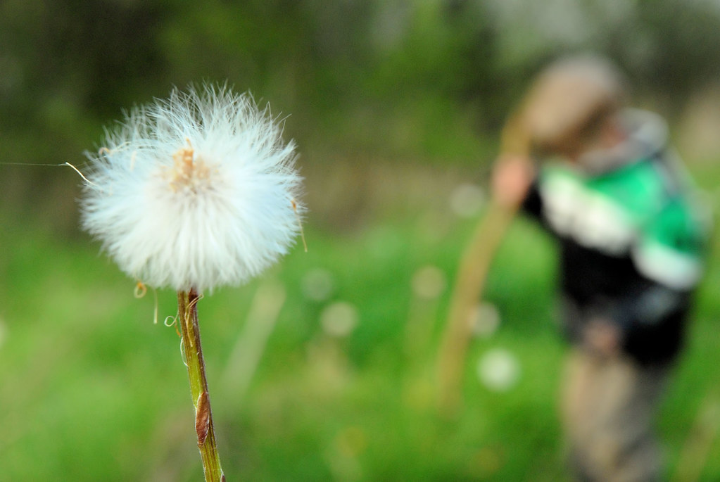time is like a clock of my heart time is what I don't have… Flickr