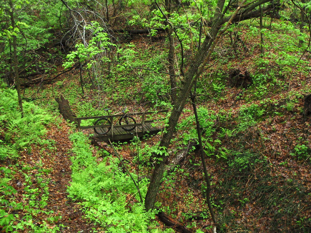 Bridge La Riviere Park. Probably seldom seen by anyone out… Flickr