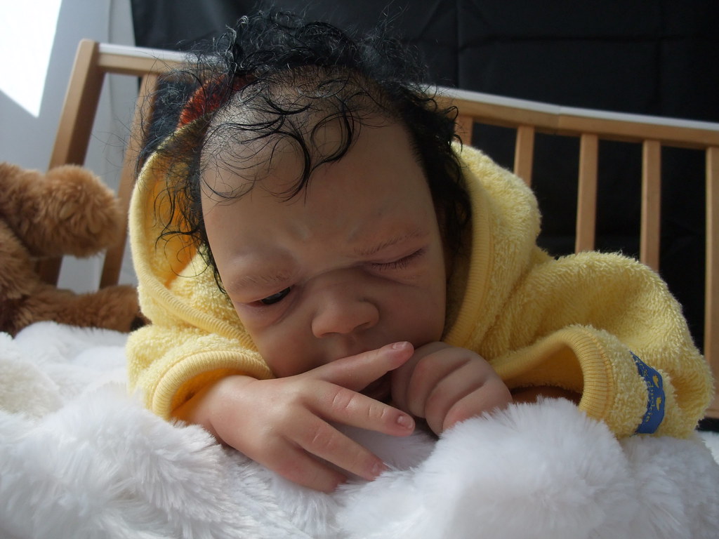 reborn doll Cries and Giggles Nursery Flickr