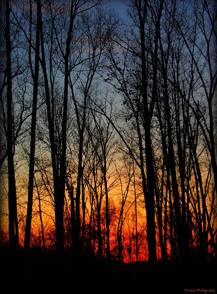 Elevation of Wells Rd, Talbott, TN, USA Topographic Map Altitude Map