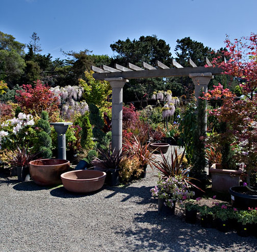 Cypress Garden Nursery Outside All photo's taken by Jason â€¦ Flickr