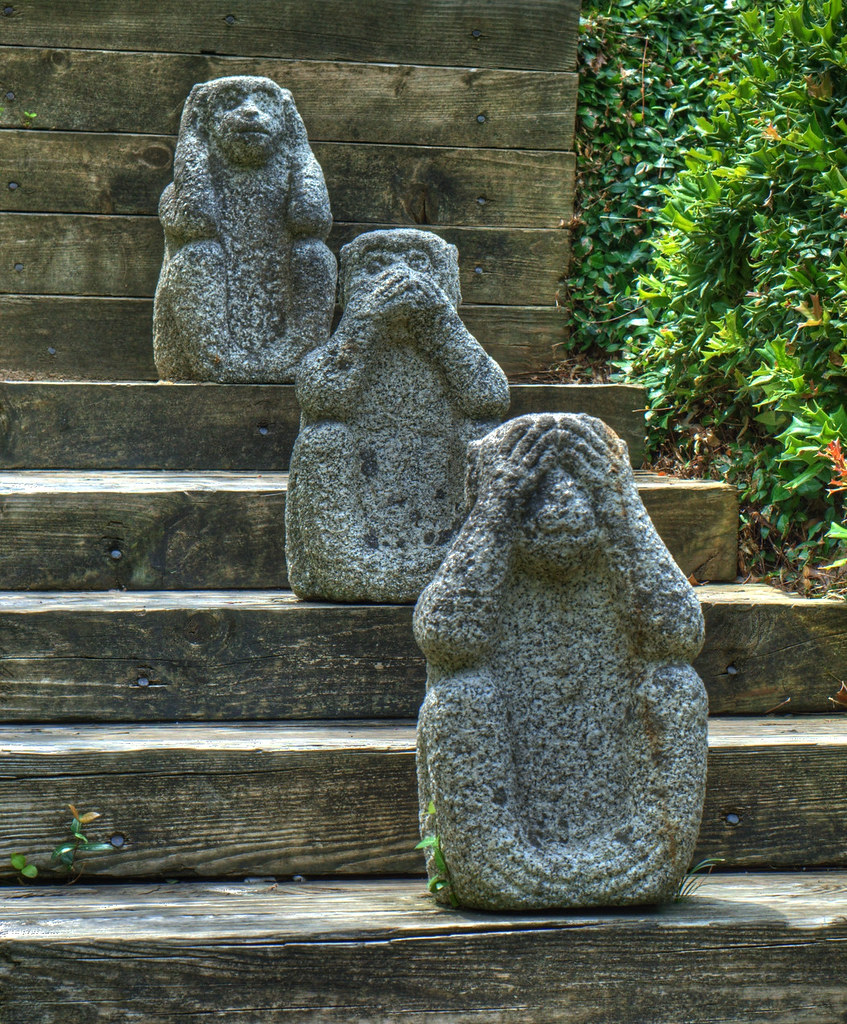 three monkeys Three monkeys at the Ft. Worth Botanic Garde… Flickr