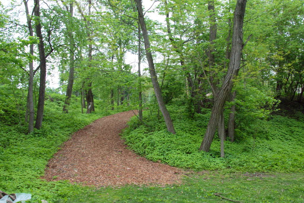 Path covered with wood chips, Glenwood Children's Park. Flickr