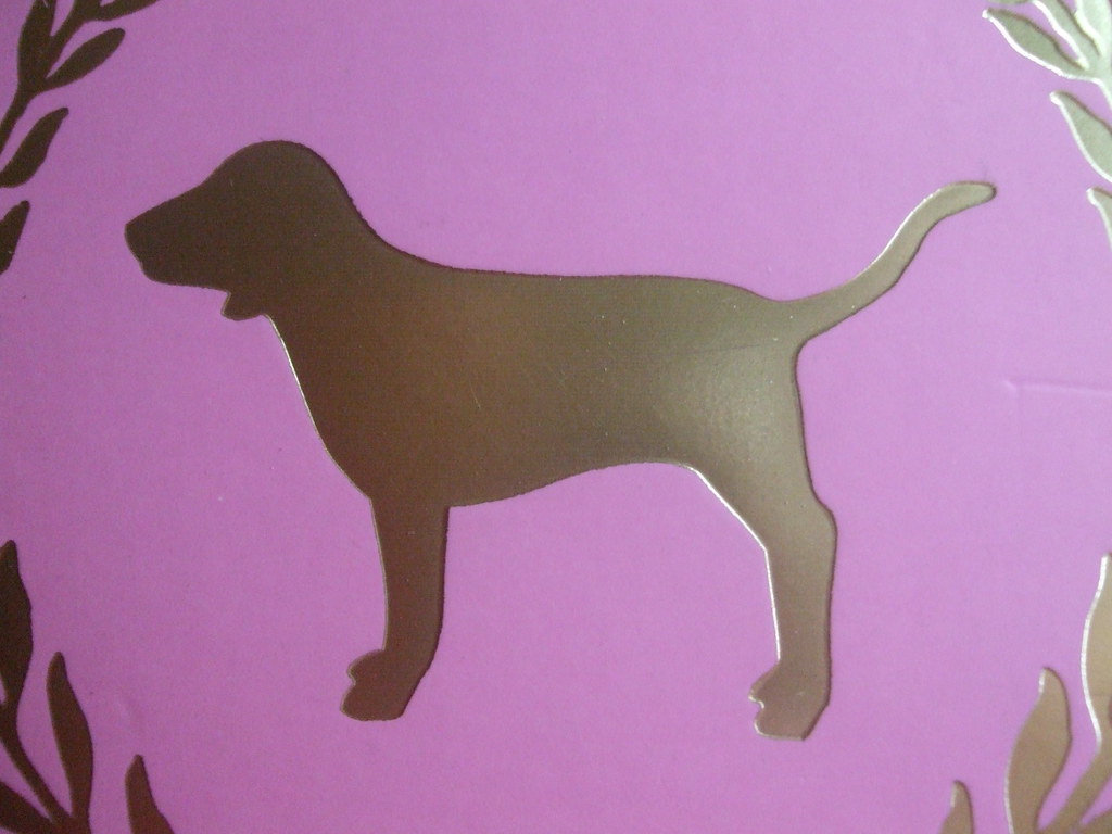 Victoria's Secret Dog Logo a photo on Flickriver