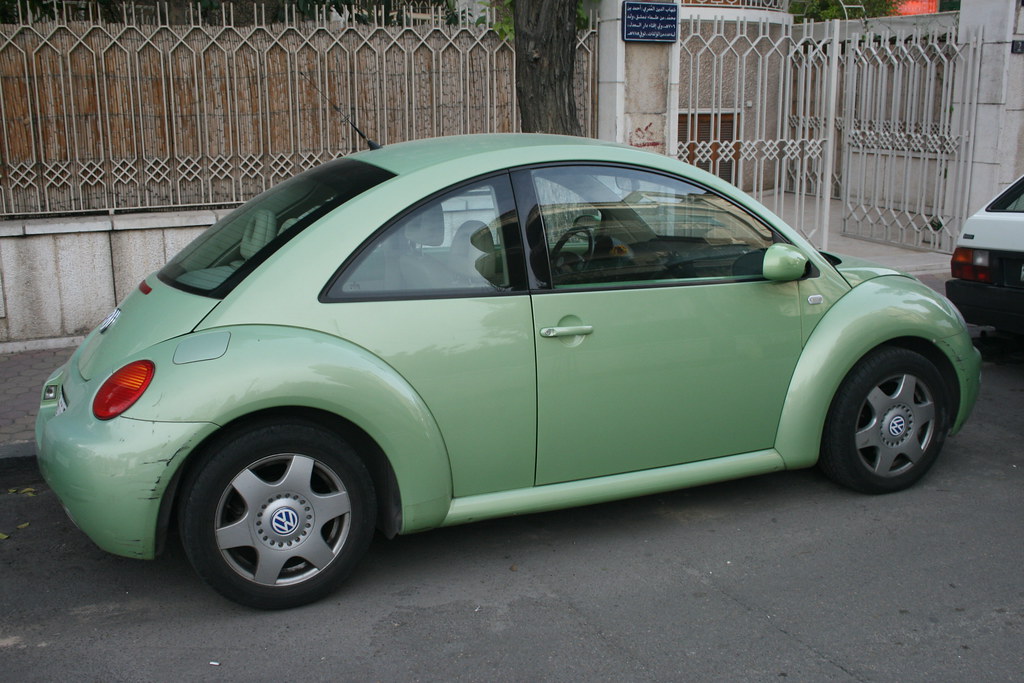 Green Beetle Jillian C. York Flickr