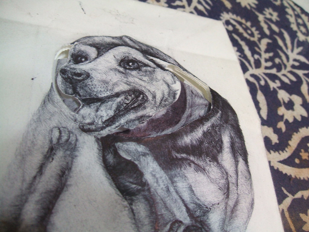 2009 Cooper Union Home Test Early DecisionAccepted Flickr