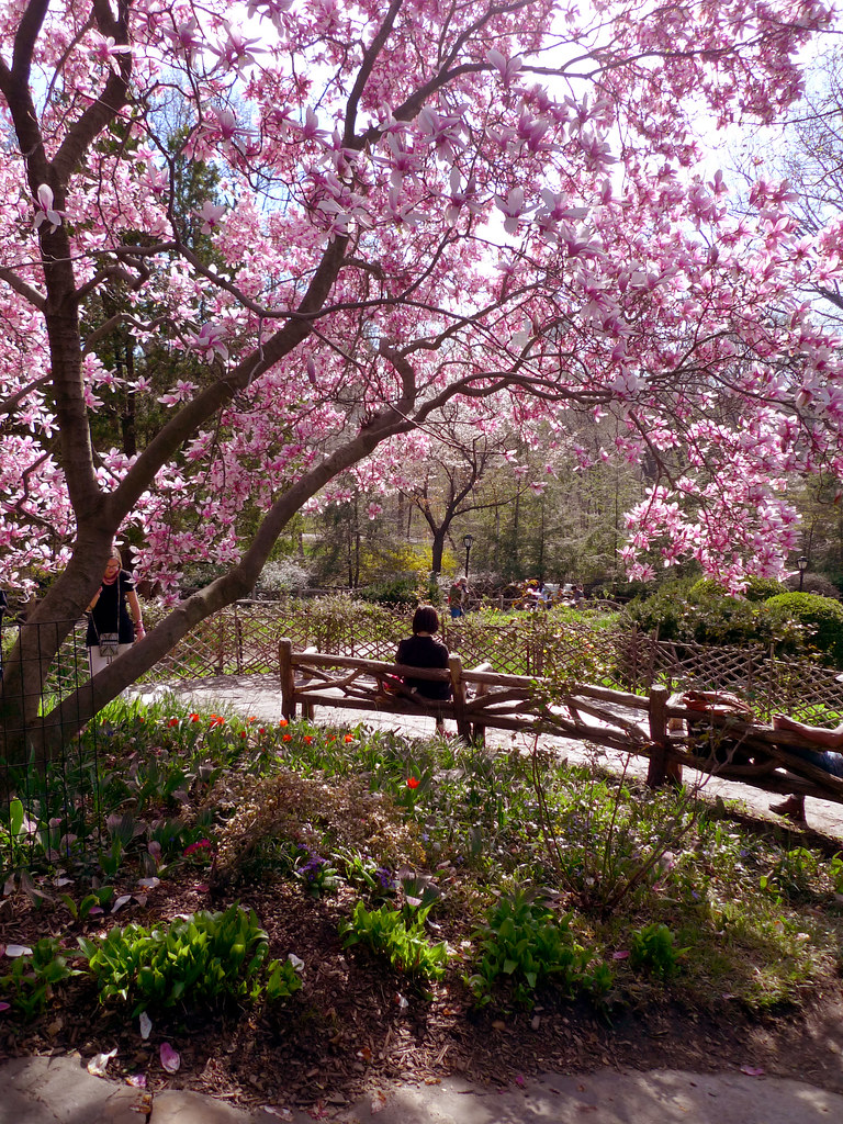 Spring (finally) comes to New York Shakespeare's Garden, Câ€¦ Flickr