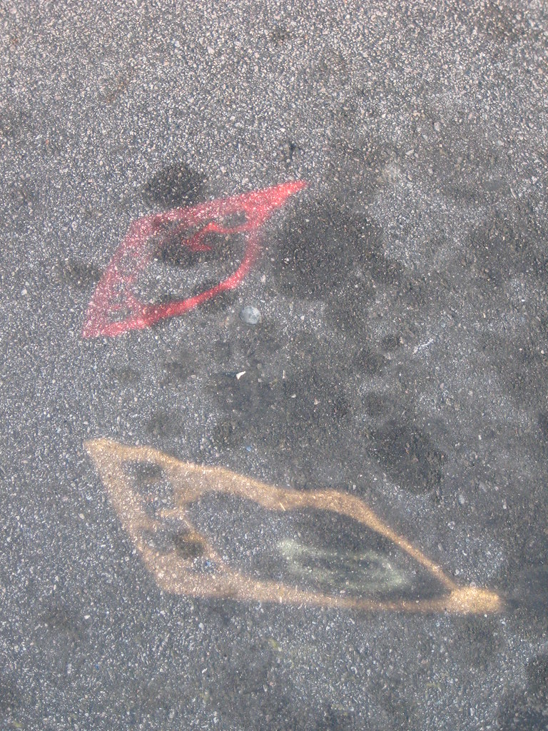 Reflection Of our "house divided" license plate. Selena N. B. H