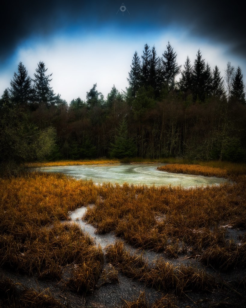 Elevation of Bell Gardens, Perth PH2, UK Topographic Map Altitude Map