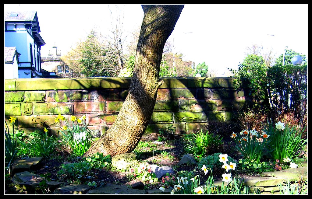 Princess Park Mansions Liverpool at Soule blog