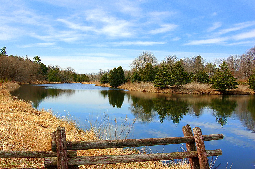 Millbrook Pond syd danis Flickr