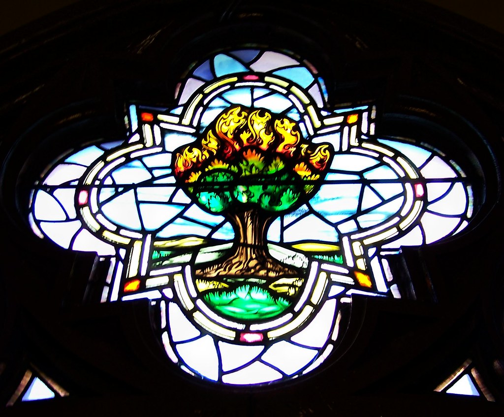 The Burning Bush a photo on Flickriver