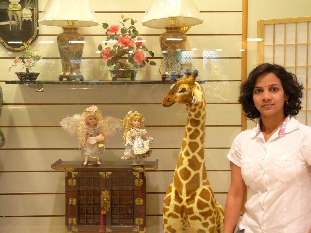 buckland mall 032 shitalp79 Flickr