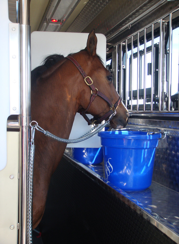 loading7 Sterling Silver Stables Equine Motorcoach julie_calzone