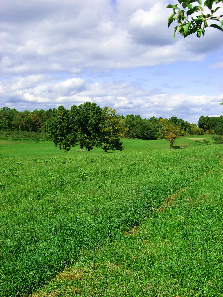 DutchessIMG_5465 Cedar Heights Orchard Rhinebeck, New York