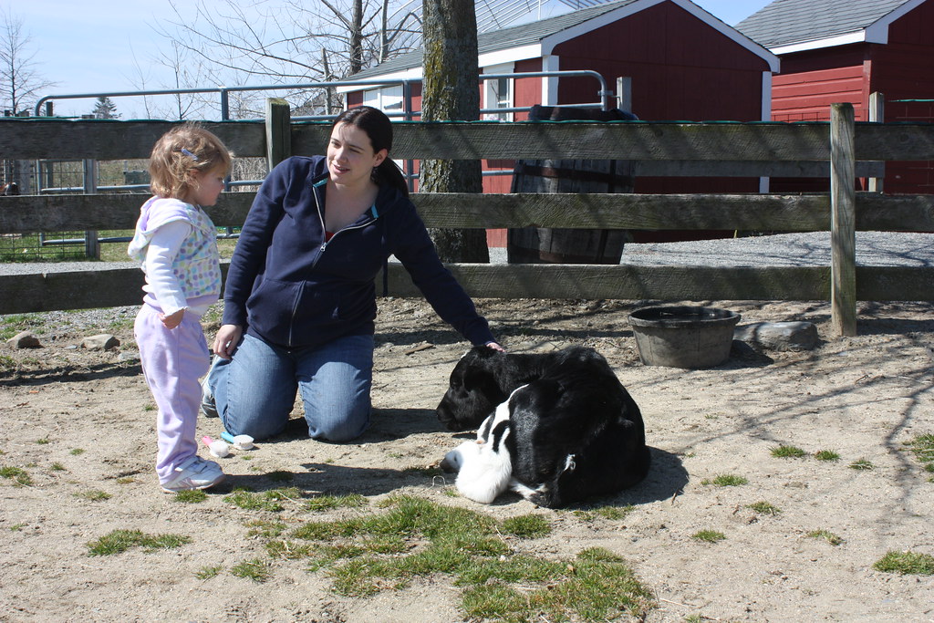 Davis Farmland 2009 Flickr