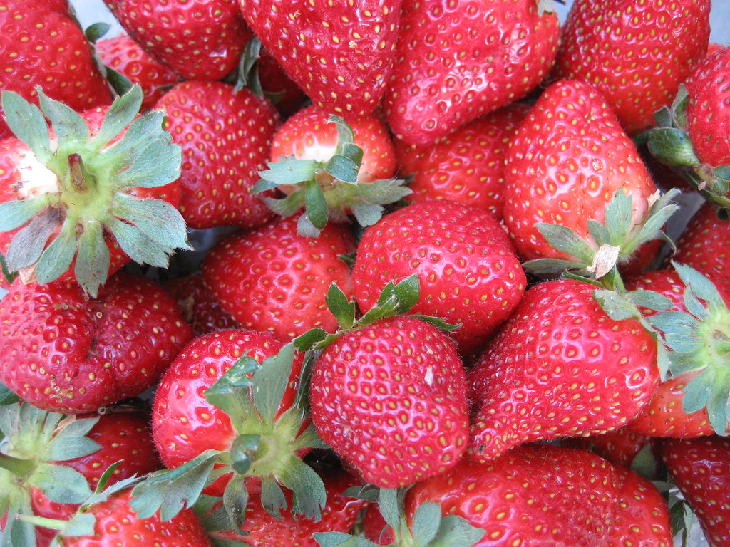 Day 117 Fresh locally grown organic strawberries. 42709 Melissa