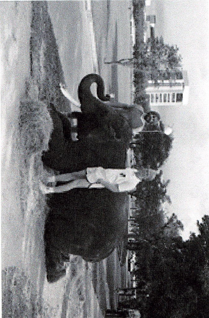 Elephant Walk 63 Title Elephant Walk 63 Digital Publi… Flickr