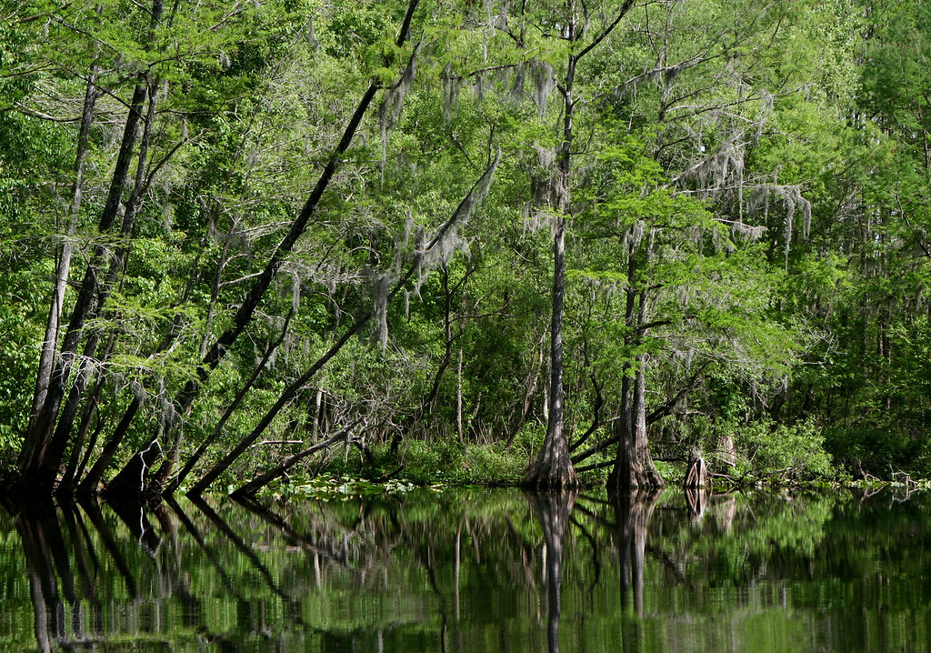Dunnellon FL 19s Along the Withlacoochee anoldent Flickr