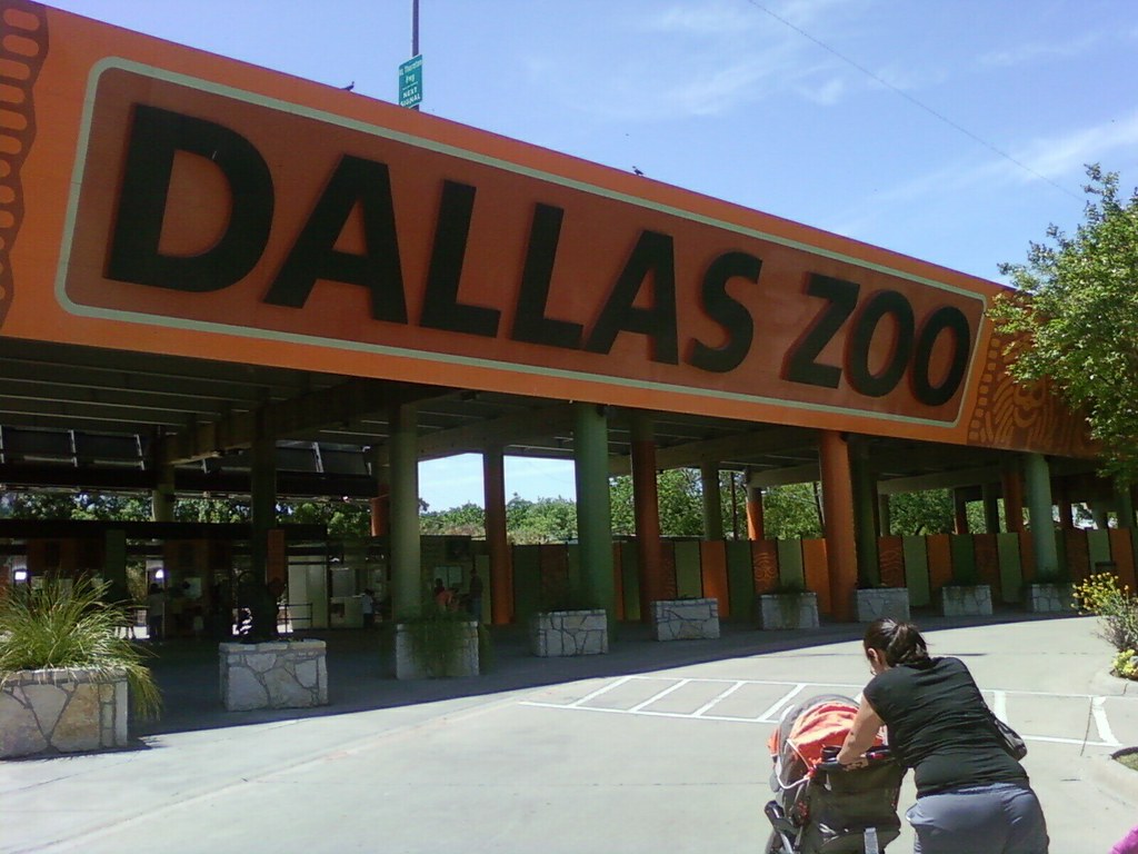1400 S Lamar St At the dallas zoo oscarmendoza1 Flickr