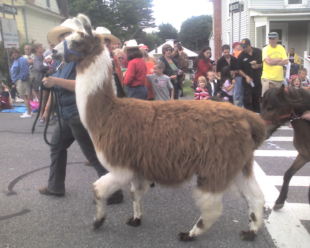 Schroon Lake, NY 4th of July Parade Huh? Megan from The Last Town