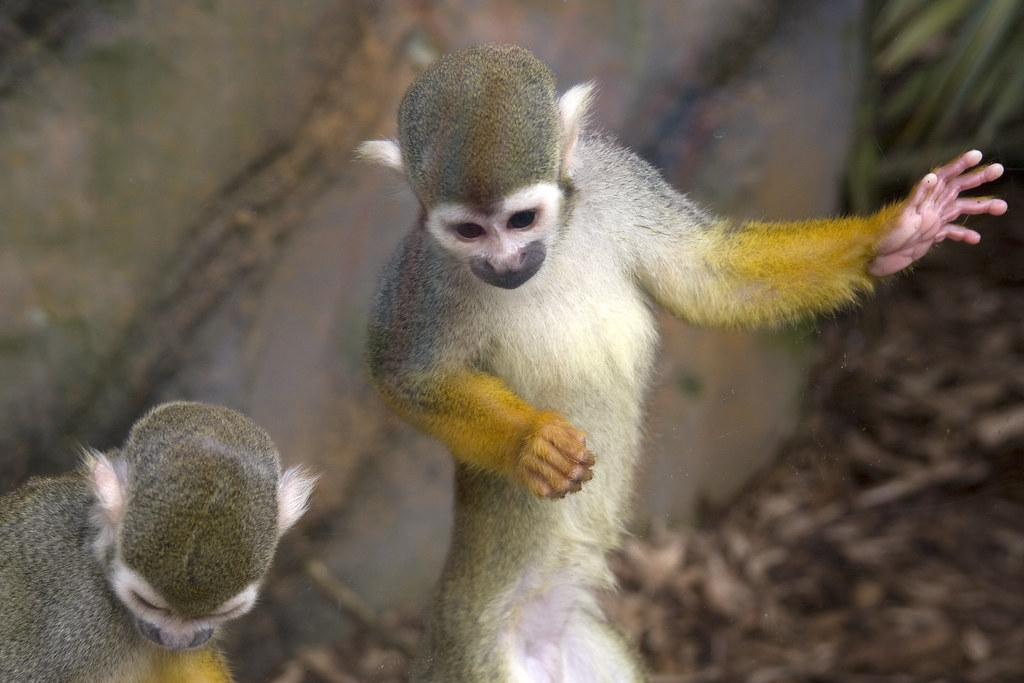 Giving directions Duncan Munro Flickr