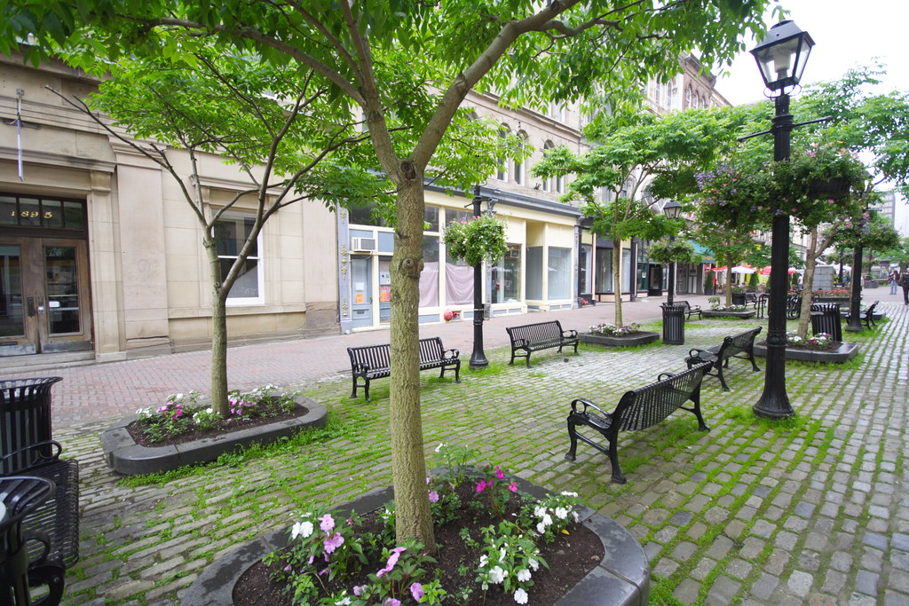 Granville Mall Halifax View Large img_5989dpp Flickr