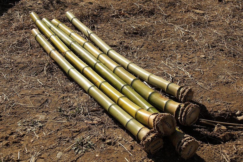 Aburanuki (bamboo burning) Flickr